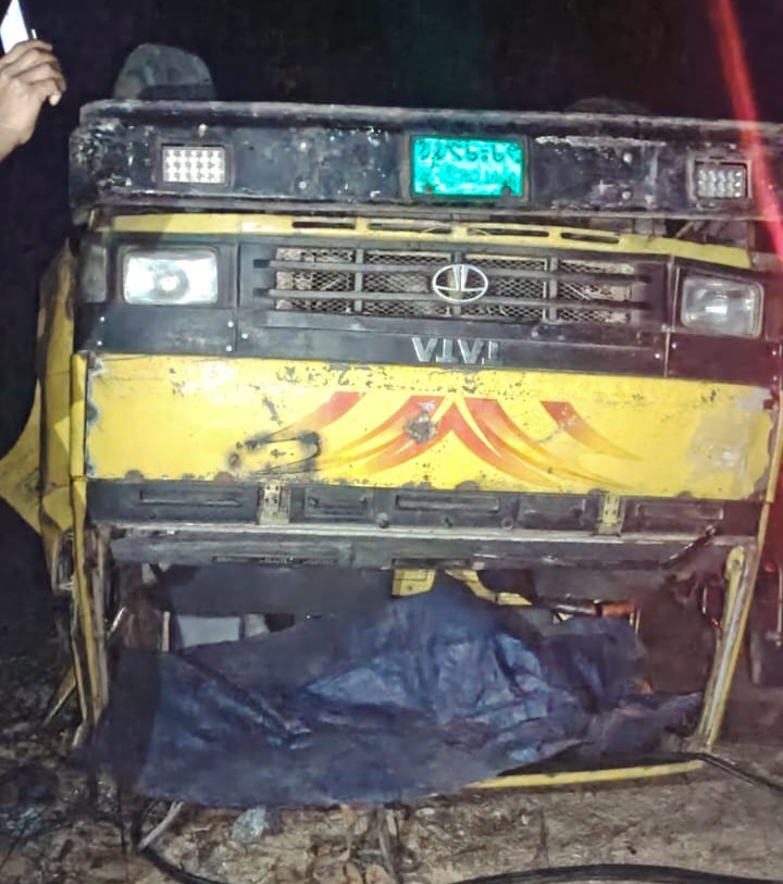 রাইখালীতে মিনি ট্রাক উল্টে চালক নিহত