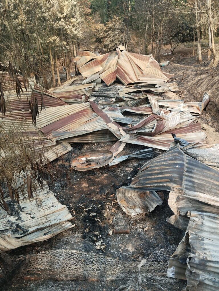 মতি পাড়ায় আগুনে পুড়লো মুরগির ফার্মের ২ হাজার মুরগির বাচ্চা