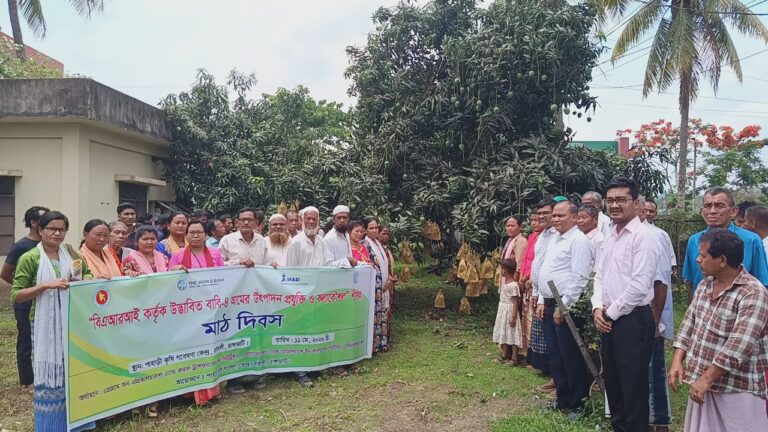 🟥 কাপ্তাইয়ে বারি আম-৪ চাষে মাঠ দিবস