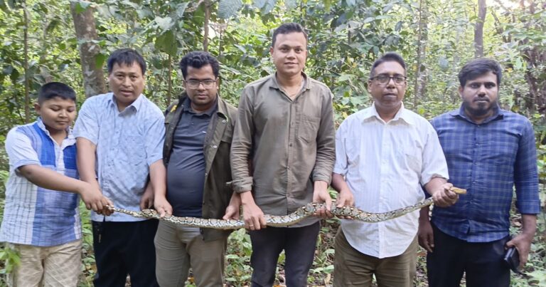 🟥 রাইখালীতে উদ্ধার হওয়া অজগর কাপ্তাই ন্যাশনাল পার্কে অবমুক্ত