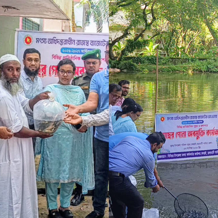 কাপ্তাইয়ে ১৬ পুকুরে মাছের পোনা